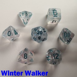 Iridescent Glitter Winter Walker